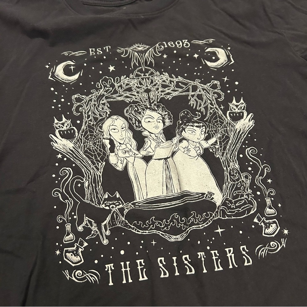 Women’s Disney Hocus Pocus Character Cartoon Gray Cropped Tshirt size medium - Picture 2 of 4